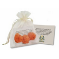 Wildflower Scented Seed Bombs in Natural Cotton Bag (3 Pack)